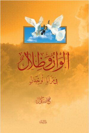 ألوان وظلال في مرايا الوجدان
